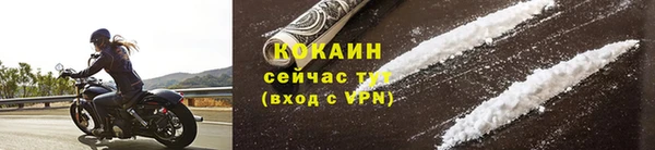 индика Верхний Тагил