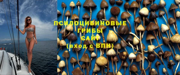 индика Верхний Тагил