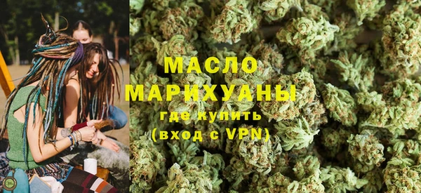 индика Верхний Тагил