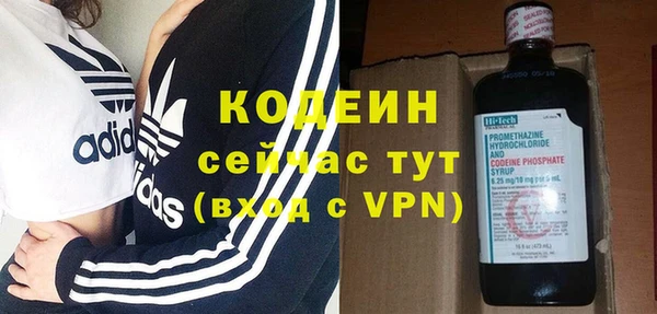 дживик Бородино