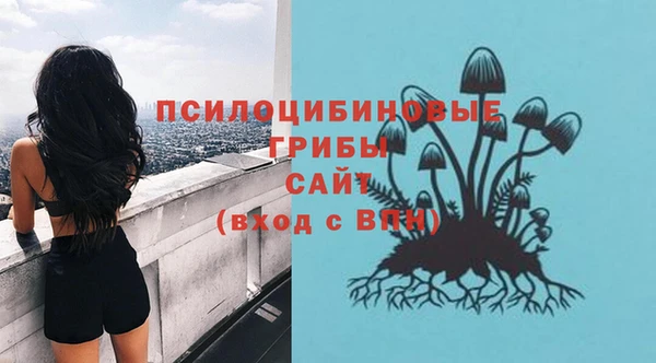 индика Верхний Тагил